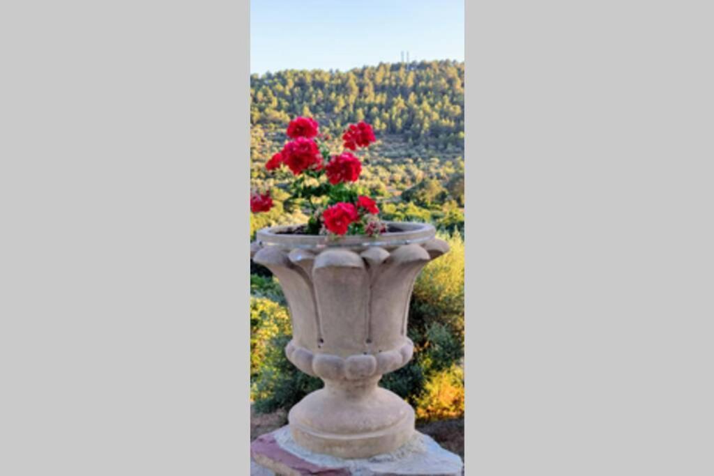 La Casa De Piedra, Una Ventana Al Paraiso Matet ภายนอก รูปภาพ